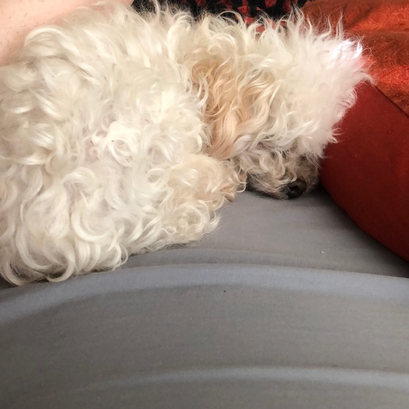 Meet your Posher, Jennifer - Picture 1 of 1